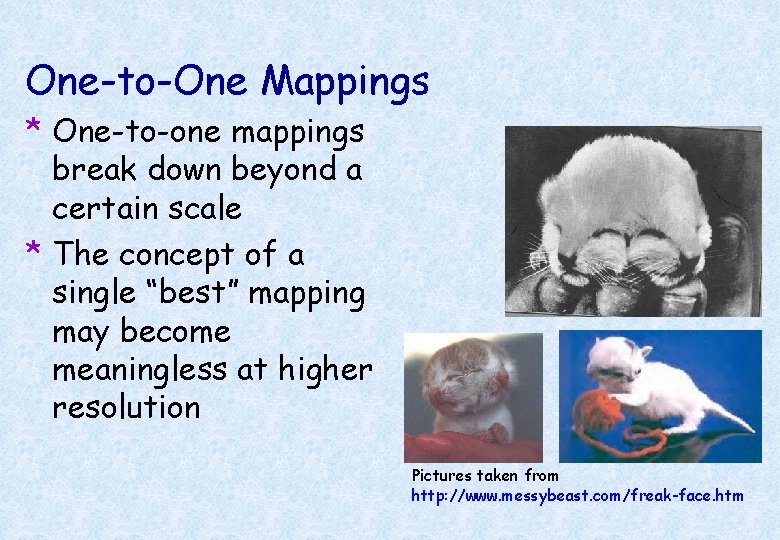 One-to-One Mappings * One-to-one mappings break down beyond a certain scale * The concept