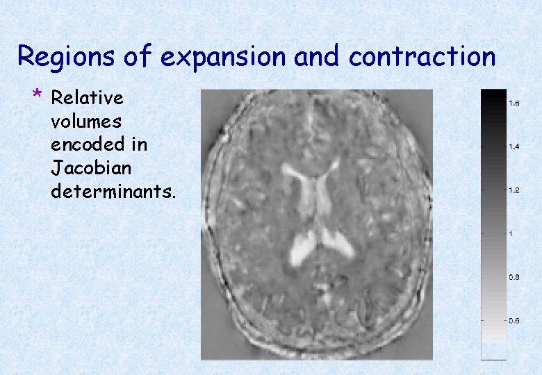 Regions of expansion and contraction * Relative volumes encoded in Jacobian determinants. 