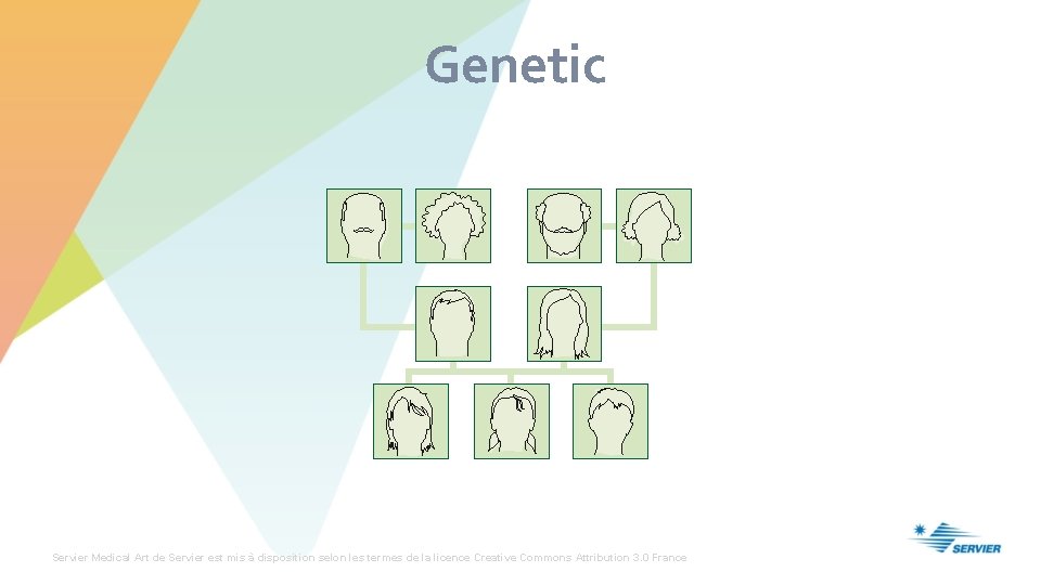 Genetic Servier Medical Art de Servier est mis à disposition selon les termes de