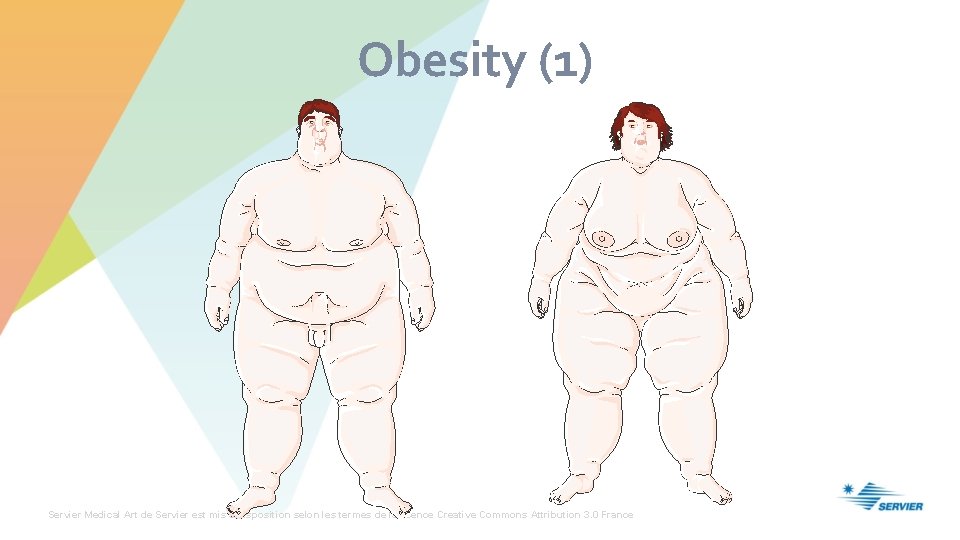 Obesity (1) Servier Medical Art de Servier est mis à disposition selon les termes