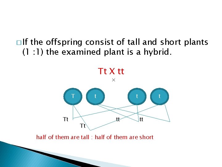 � If the offspring consist of tall and short plants (1 : 1) the