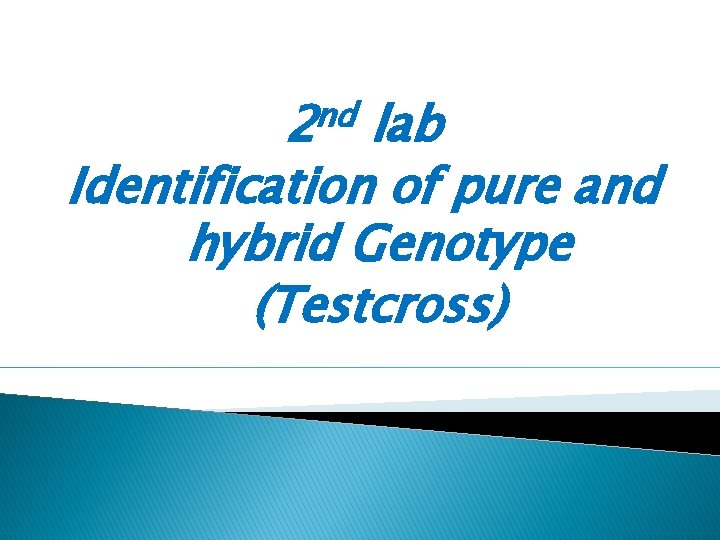 nd 2 lab Identification of pure and hybrid Genotype (Testcross) 