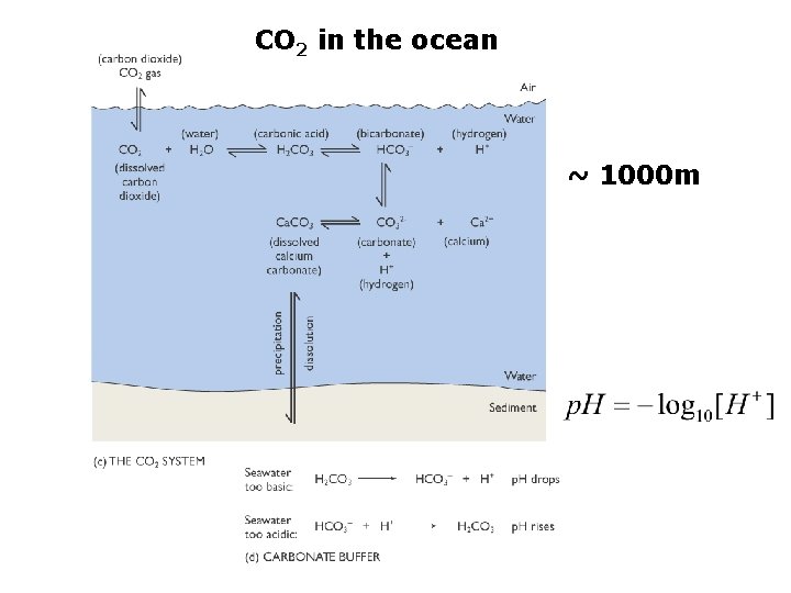 CO 2 in the ocean ~ 1000 m 