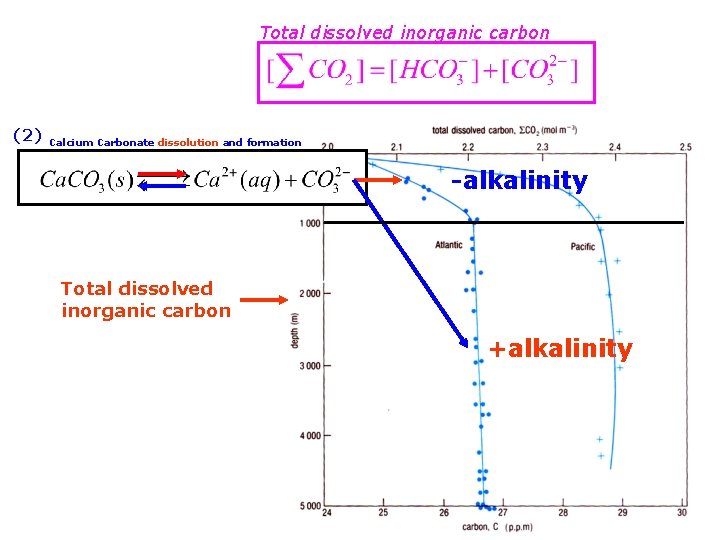 Total dissolved inorganic carbon (2) Calcium Carbonate dissolution and formation -alkalinity Total dissolved inorganic