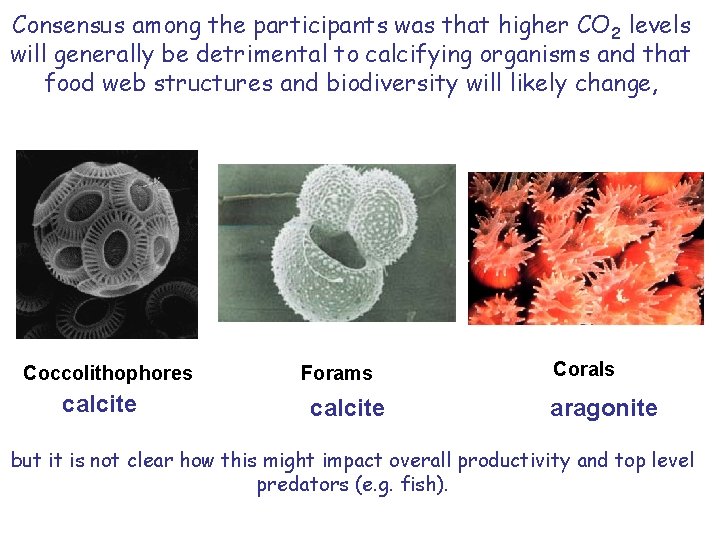 Consensus among the participants was that higher CO 2 levels will generally be detrimental