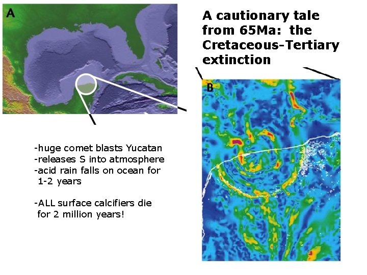 A cautionary tale from 65 Ma: the Cretaceous-Tertiary extinction -huge comet blasts Yucatan -releases
