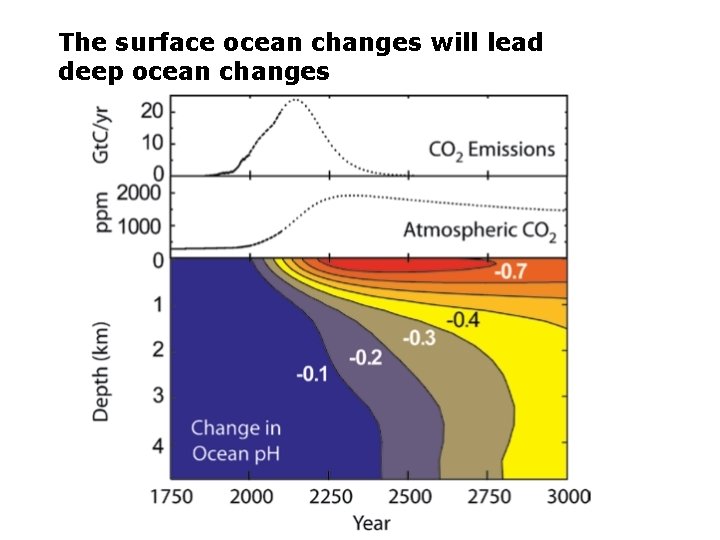 The surface ocean changes will lead deep ocean changes 