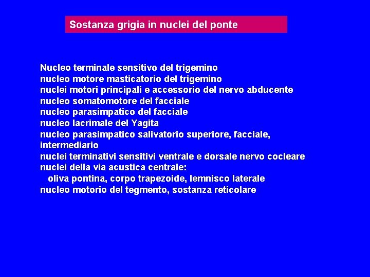 Sostanza grigia in nuclei del ponte Nucleo terminale sensitivo del trigemino nucleo motore masticatorio Sostanza grigia in nuclei del ponte Nucleo terminale sensitivo del trigemino nucleo motore masticatorio