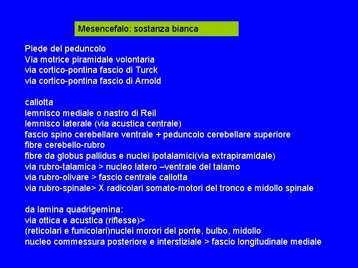 Mesencefalo: sostanza bianca Piede del peduncolo Via motrice piramidale volontaria via cortico-pontina fascio di Mesencefalo: sostanza bianca Piede del peduncolo Via motrice piramidale volontaria via cortico-pontina fascio di