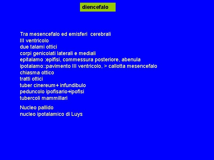 diencefalo Tra mesencefalo ed emisferi cerebrali III ventricolo due talami ottici corpi genicolati laterali diencefalo Tra mesencefalo ed emisferi cerebrali III ventricolo due talami ottici corpi genicolati laterali