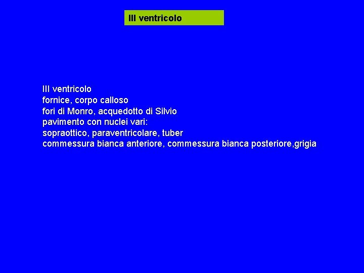 III ventricolo fornice, corpo calloso fori di Monro, acquedotto di Silvio pavimento con nuclei III ventricolo fornice, corpo calloso fori di Monro, acquedotto di Silvio pavimento con nuclei
