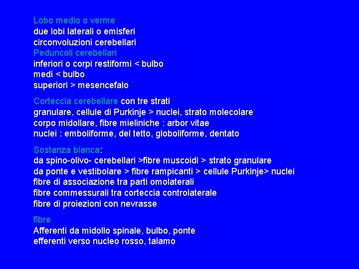 Lobo medio o verme due lobi laterali o emisferi circonvoluzioni cerebellari Peduncoli cerebellari inferiori Lobo medio o verme due lobi laterali o emisferi circonvoluzioni cerebellari Peduncoli cerebellari inferiori