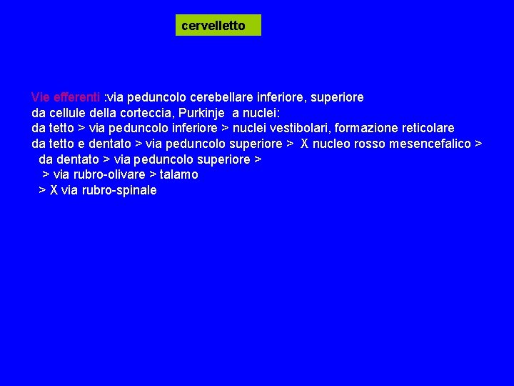 cervelletto Vie efferenti : via peduncolo cerebellare inferiore, superiore da cellule della corteccia, Purkinje cervelletto Vie efferenti : via peduncolo cerebellare inferiore, superiore da cellule della corteccia, Purkinje