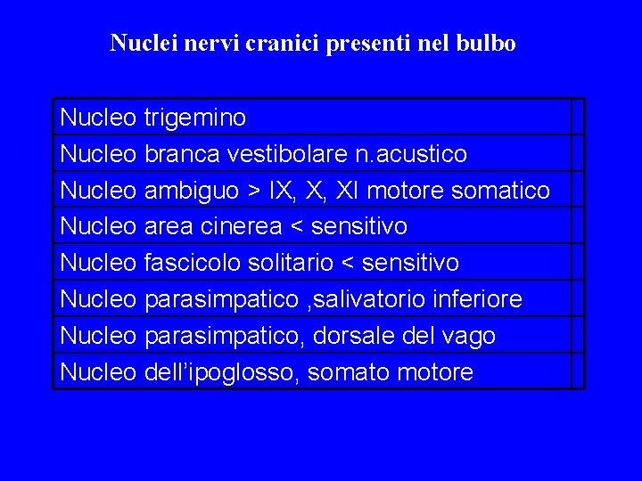 Nuclei nervi cranici presenti nel bulbo Nucleo trigemino Nucleo branca vestibolare n. acustico Nucleo Nuclei nervi cranici presenti nel bulbo Nucleo trigemino Nucleo branca vestibolare n. acustico Nucleo