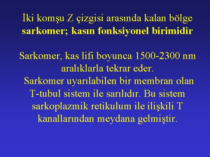 İki komşu Z çizgisi arasında kalan bölge sarkomer; kasın fonksiyonel birimidir Sarkomer, kas lifi