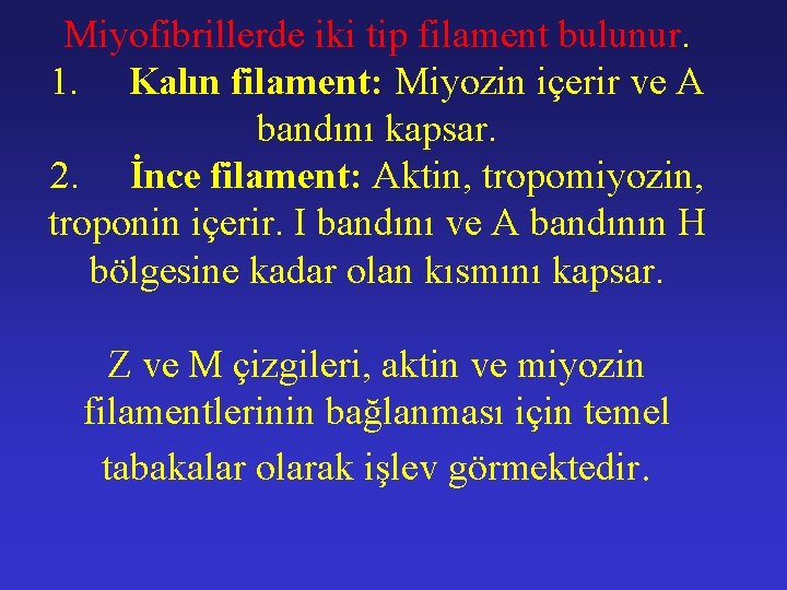 Miyofibrillerde iki tip filament bulunur. 1. Kalın filament: Miyozin içerir ve A bandını kapsar.