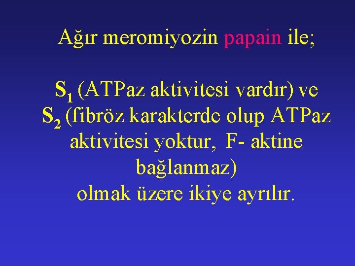 Ağır meromiyozin papain ile; S 1 (ATPaz aktivitesi vardır) ve S 2 (fibröz karakterde