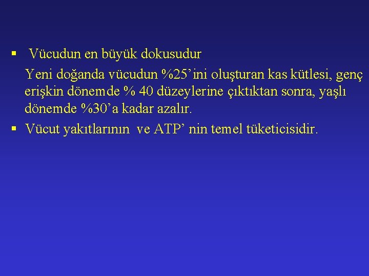 § Vücudun en büyük dokusudur Yeni doğanda vücudun %25’ini oluşturan kas kütlesi, genç erişkin