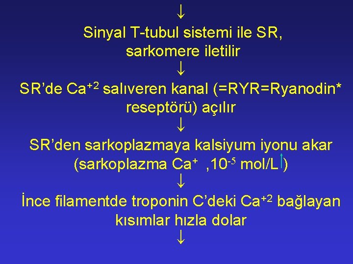  Sinyal T-tubul sistemi ile SR, sarkomere iletilir SR’de Ca+2 salıveren kanal (=RYR=Ryanodin* reseptörü)