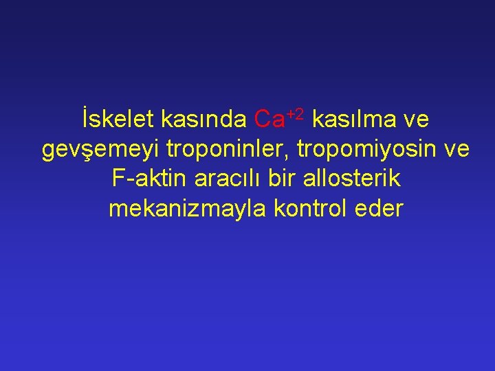 İskelet kasında Ca+2 kasılma ve gevşemeyi troponinler, tropomiyosin ve F-aktin aracılı bir allosterik mekanizmayla