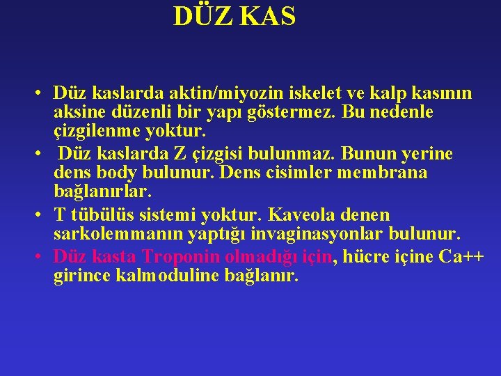DÜZ KAS • Düz kaslarda aktin/miyozin iskelet ve kalp kasının aksine düzenli bir yapı