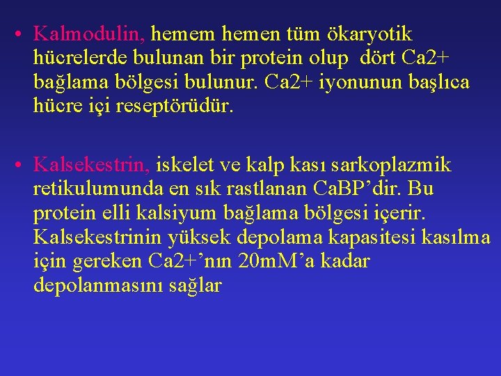  • Kalmodulin, hemem hemen tüm ökaryotik hücrelerde bulunan bir protein olup dört Ca