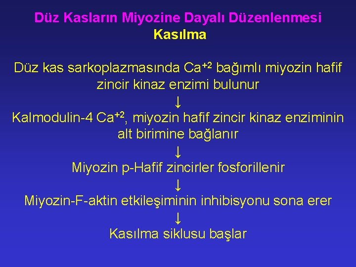 Düz Kasların Miyozine Dayalı Düzenlenmesi Kasılma Düz kas sarkoplazmasında Ca+2 bağımlı miyozin hafif zincir