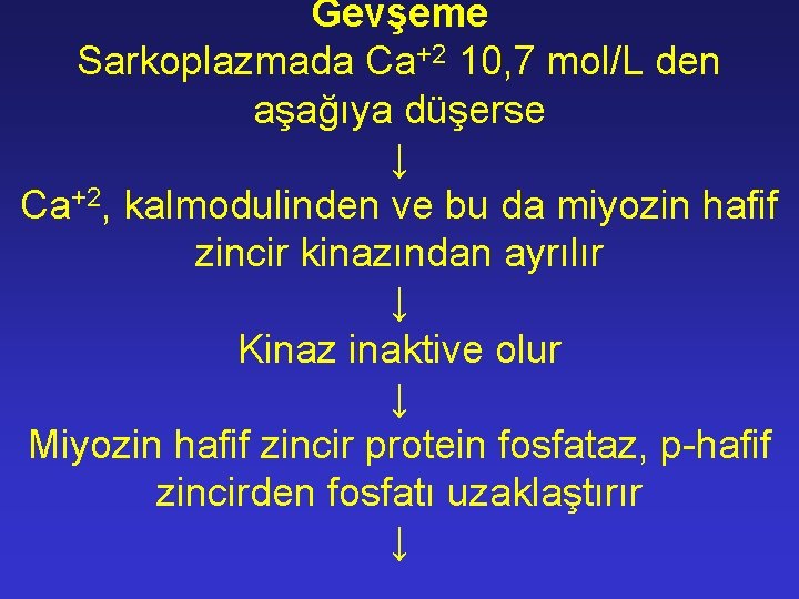 Gevşeme Sarkoplazmada Ca+2 10, 7 mol/L den aşağıya düşerse ↓ Ca+2, kalmodulinden ve bu