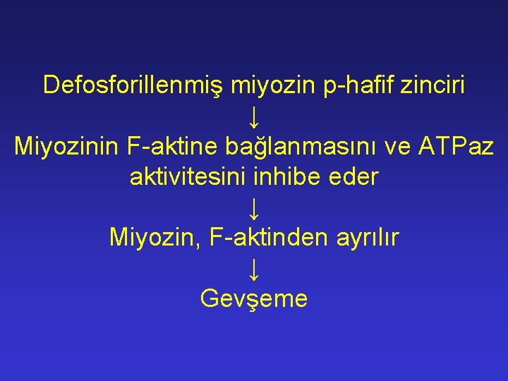 Defosforillenmiş miyozin p-hafif zinciri ↓ Miyozinin F-aktine bağlanmasını ve ATPaz aktivitesini inhibe eder ↓