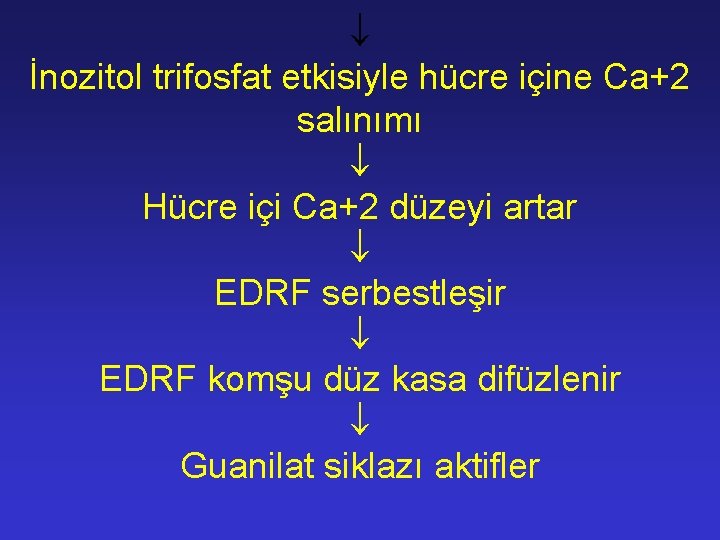  İnozitol trifosfat etkisiyle hücre içine Ca+2 salınımı Hücre içi Ca+2 düzeyi artar EDRF