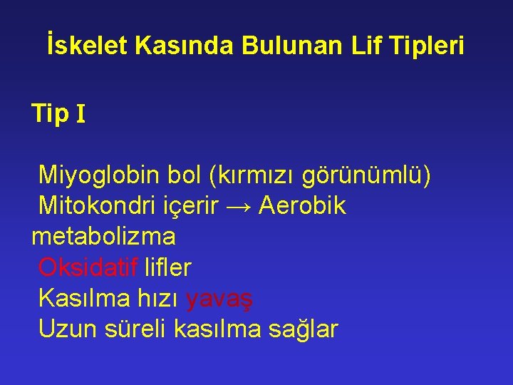 İskelet Kasında Bulunan Lif Tipleri Tip Miyoglobin bol (kırmızı görünümlü) Mitokondri içerir → Aerobik