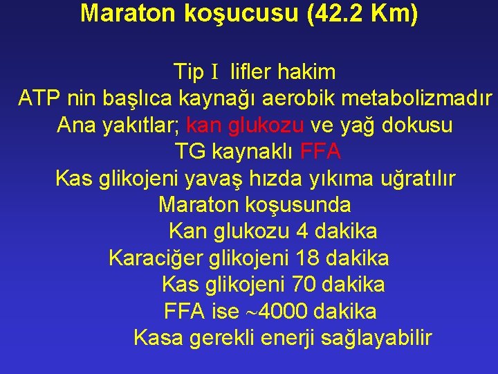 Maraton koşucusu (42. 2 Km) Tip lifler hakim ATP nin başlıca kaynağı aerobik metabolizmadır