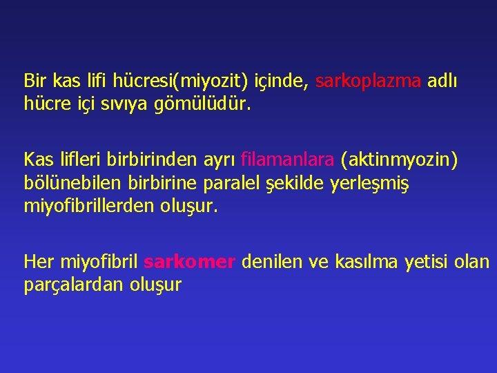 Bir kas lifi hücresi(miyozit) içinde, sarkoplazma adlı hücre içi sıvıya gömülüdür. Kas lifleri birbirinden