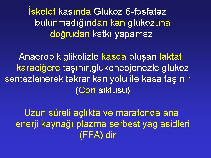 İskelet kasında Glukoz 6 -fosfataz bulunmadığından kan glukozuna doğrudan katkı yapamaz Anaerobik glikolizle kasda
