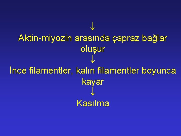  Aktin-miyozin arasında çapraz bağlar oluşur İnce filamentler, kalın filamentler boyunca kayar Kasılma 