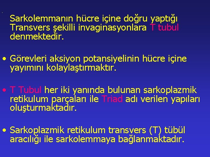  • Sarkolemmanın hücre içine doğru yaptığı Transvers şekilli invaginasyonlara T tubul denmektedir. •