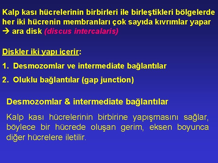 Kalp kası hücrelerinin birbirleri ile birleştikleri bölgelerde her iki hücrenin membranları çok sayıda kıvrımlar