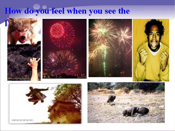 How do you feel when you see the pictures? 