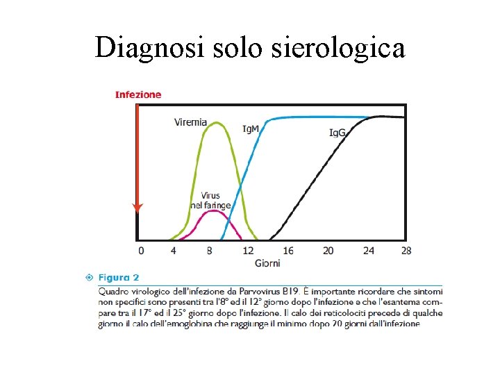 Diagnosi solo sierologica 