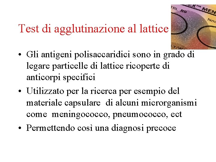 Test di agglutinazione al lattice (AL) • Gli antigeni polisaccaridici sono in grado di