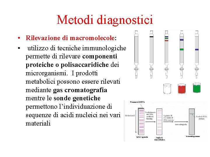 Metodi diagnostici • Rilevazione di macromolecole: • utilizzo di tecniche immunologiche permette di rilevare