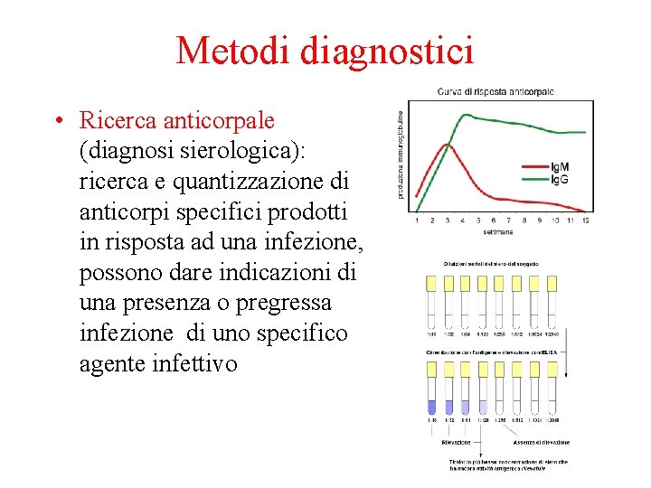 Metodi diagnostici • Ricerca anticorpale (diagnosi sierologica): ricerca e quantizzazione di anticorpi specifici prodotti