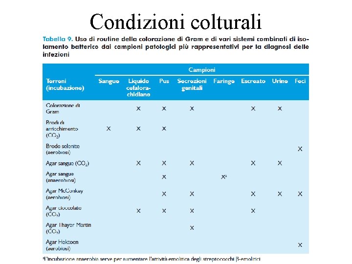 Condizioni colturali 