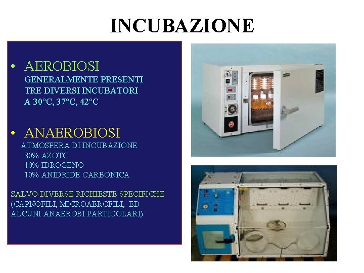 INCUBAZIONE • AEROBIOSI GENERALMENTE PRESENTI TRE DIVERSI INCUBATORI A 30°C, 37°C, 42°C • ANAEROBIOSI