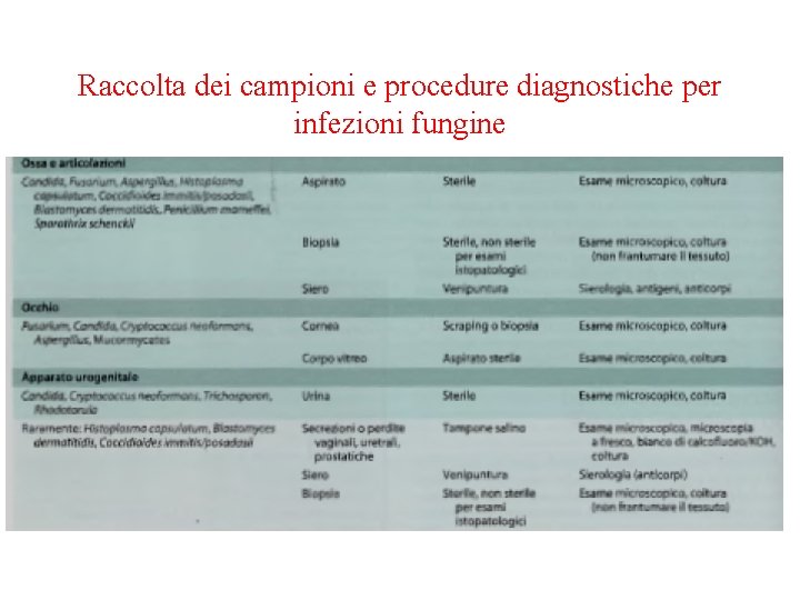 Raccolta dei campioni e procedure diagnostiche per infezioni fungine 