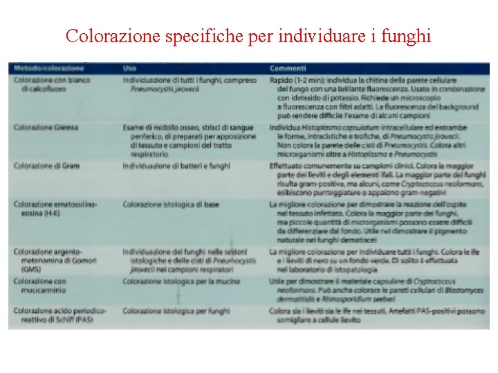 Colorazione specifiche per individuare i funghi 