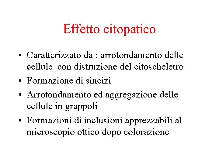 Effetto citopatico • Caratterizzato da : arrotondamento delle cellule con distruzione del citoscheletro •