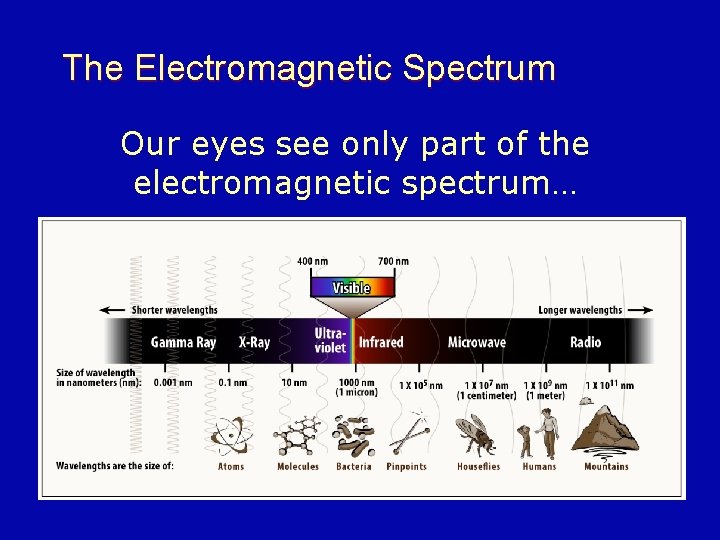 The Electromagnetic Spectrum Our eyes see only part of the electromagnetic spectrum… 