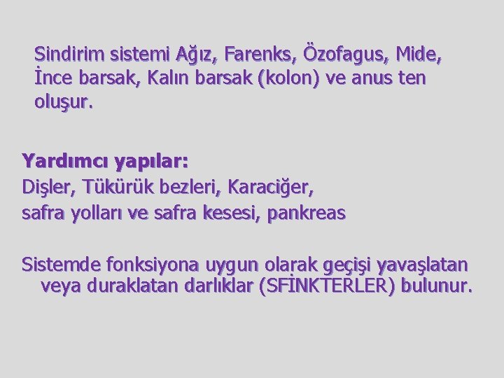 Sindirim sistemi Ağız, Farenks, Özofagus, Mide, İnce barsak, Kalın barsak (kolon) ve anus ten