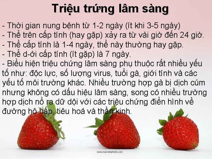 Triệu trứng lâm sàng Thời gian nung bệnh từ 1 2 ngày (ít khi